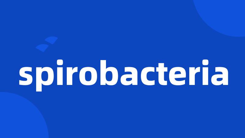 spirobacteria