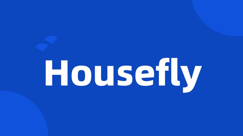 Housefly