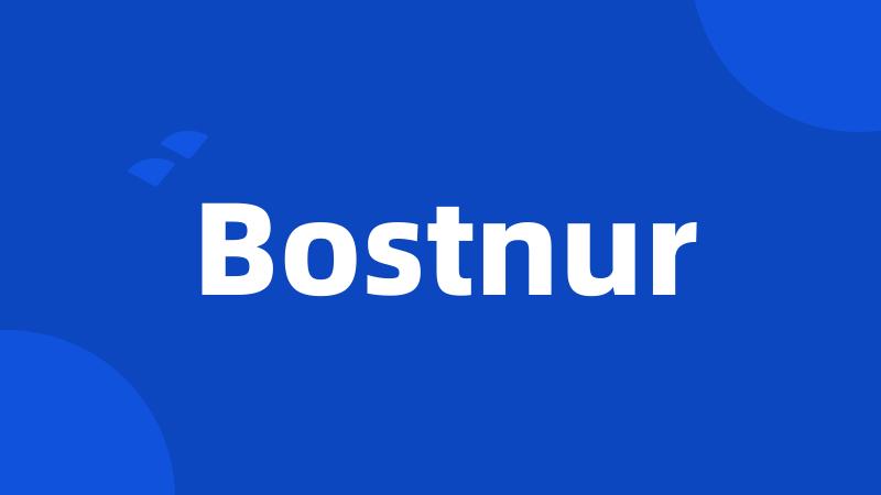 Bostnur