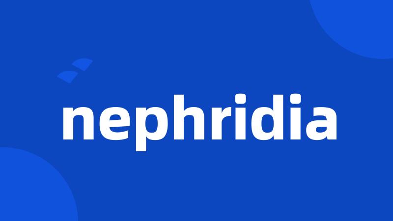 nephridia