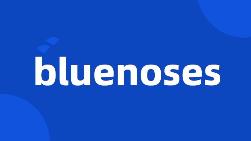 bluenoses