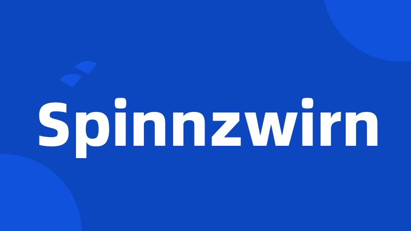 Spinnzwirn