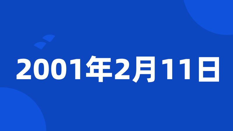 2001年2月11日