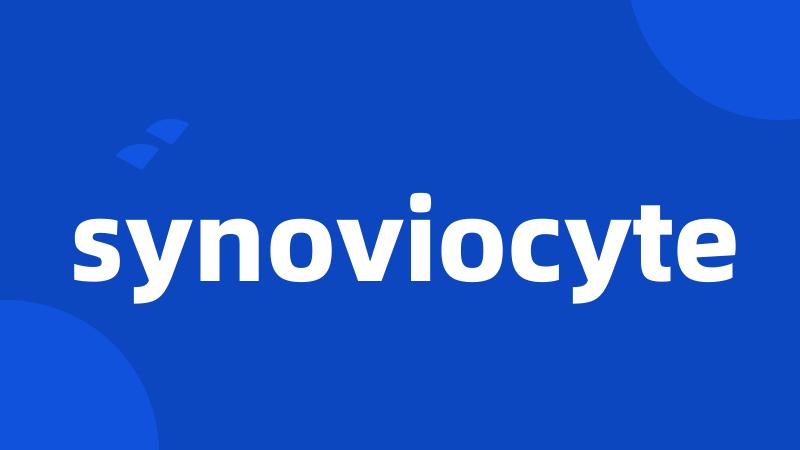 synoviocyte