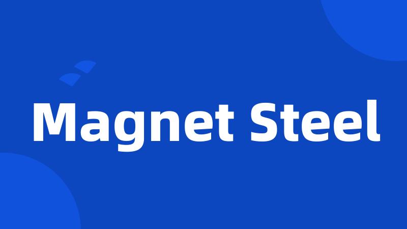 Magnet Steel