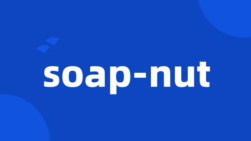 soap-nut