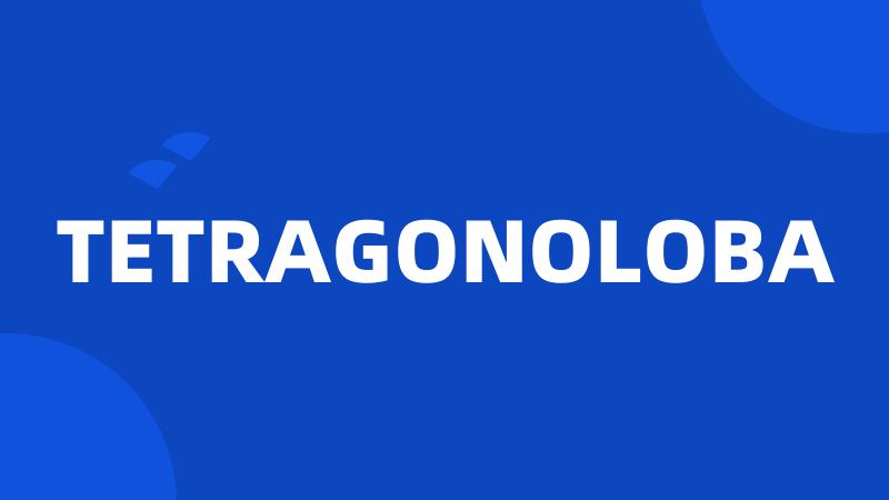 TETRAGONOLOBA