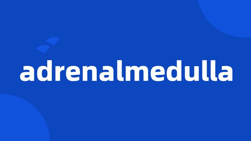 adrenalmedulla