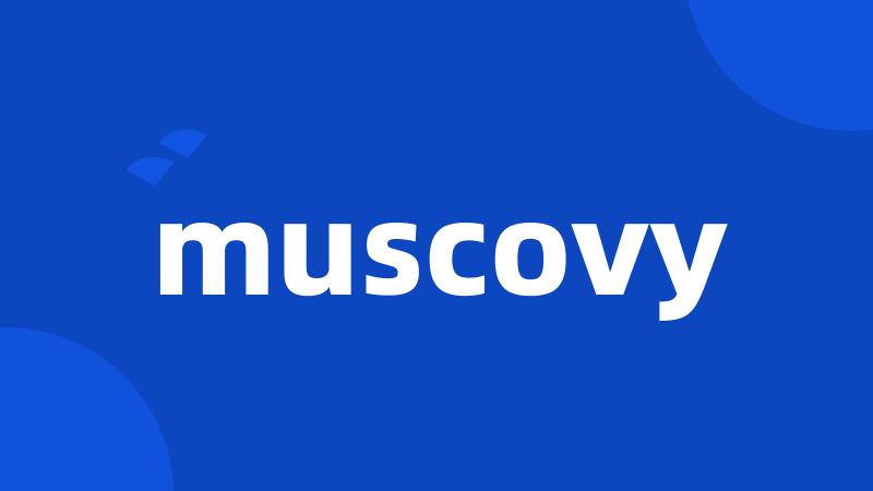 muscovy