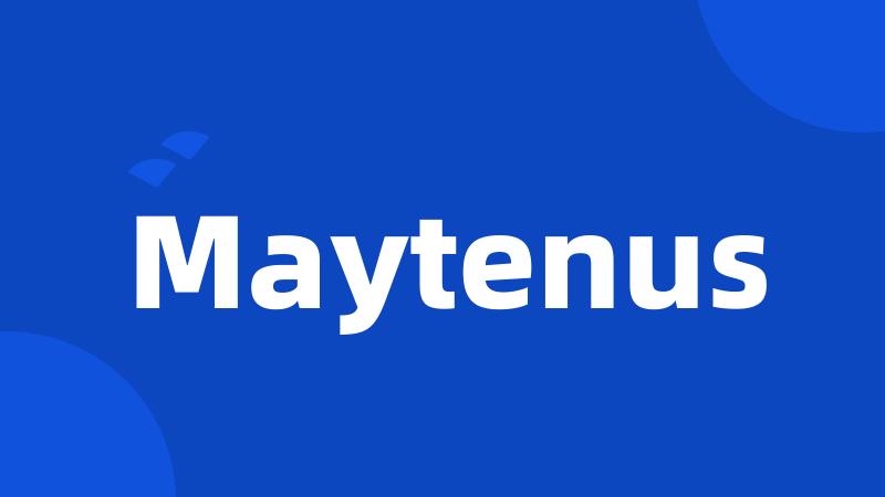 Maytenus