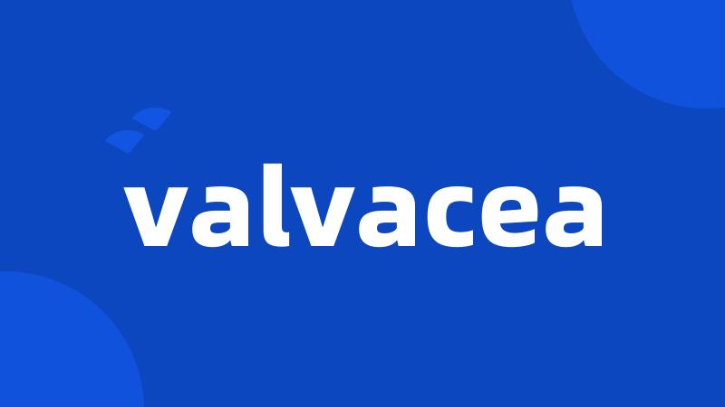 valvacea