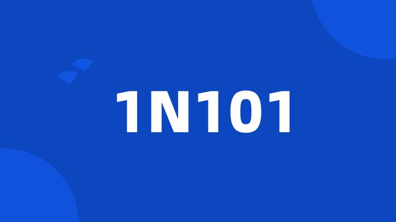 1N101