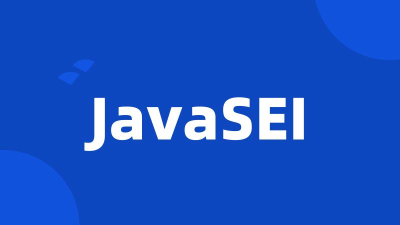 JavaSEI