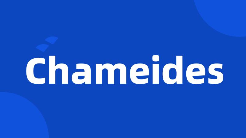 Chameides