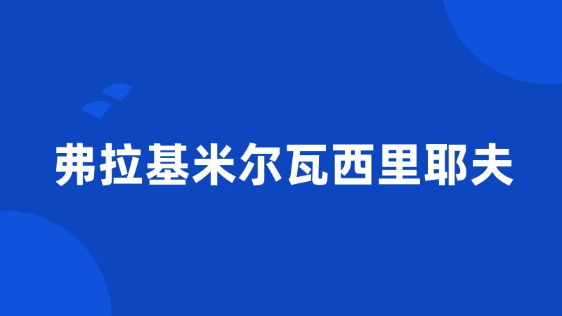 弗拉基米尔瓦西里耶夫