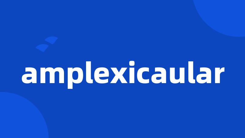 amplexicaular