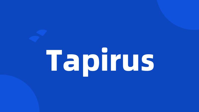 Tapirus