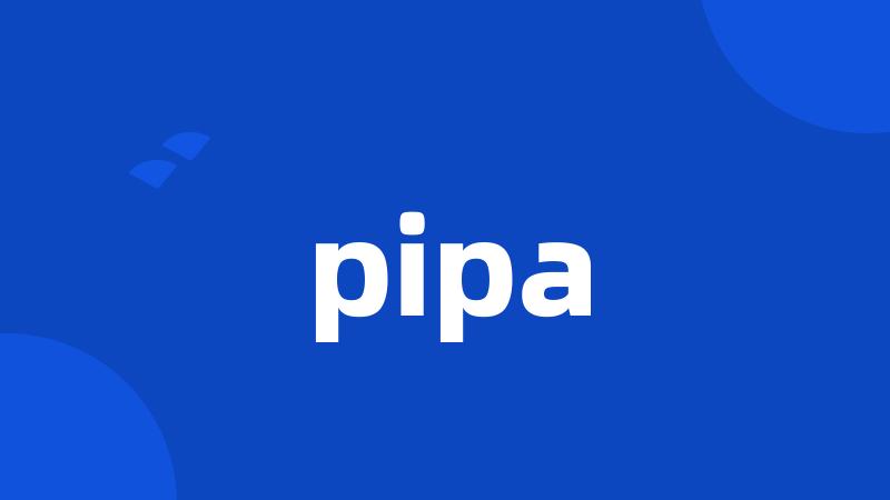 pipa