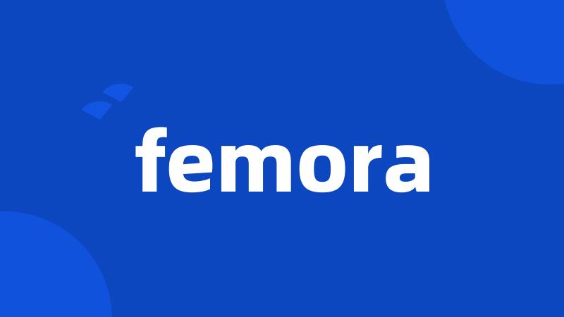 femora