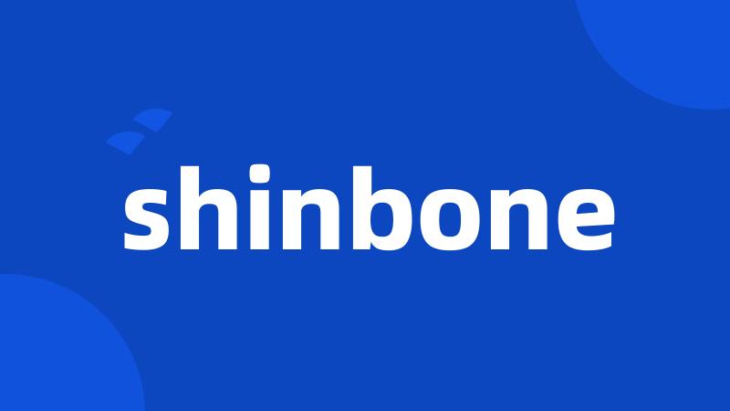 shinbone