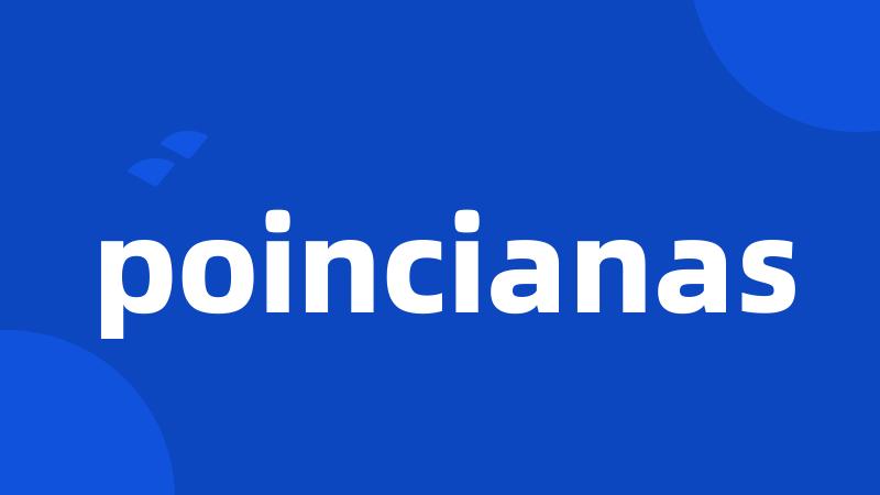 poincianas