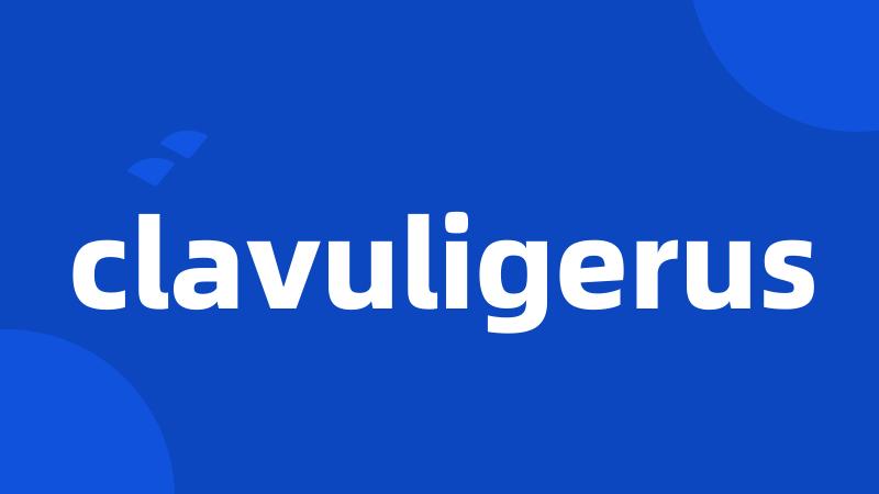 clavuligerus