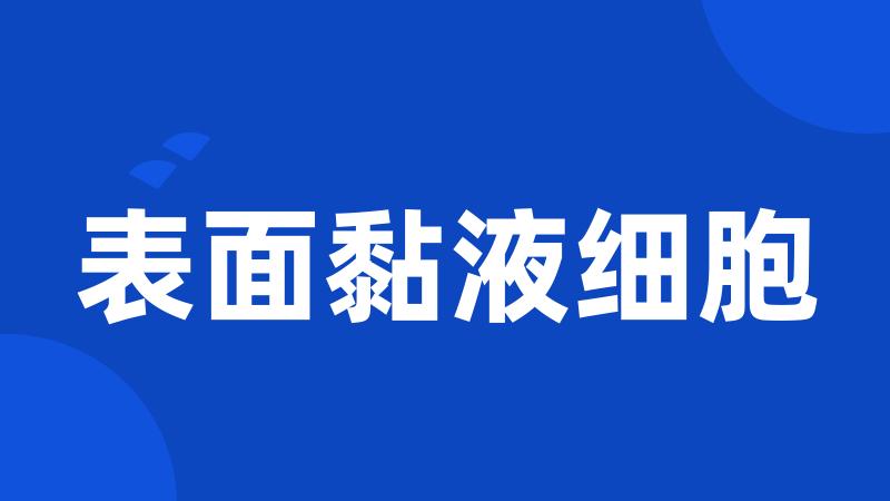 表面黏液细胞