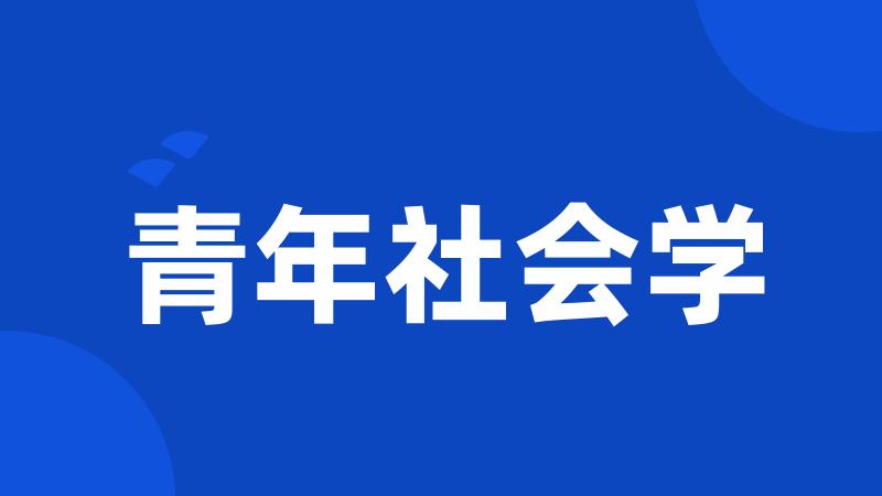 青年社会学