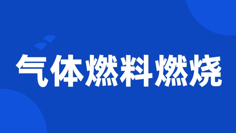 气体燃料燃烧