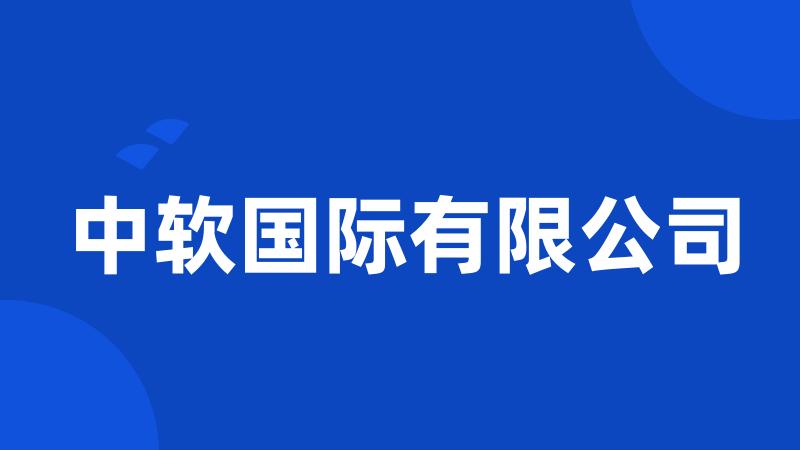 中软国际有限公司