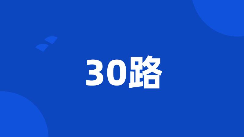 30路