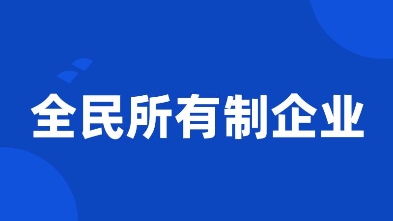 全民所有制企业