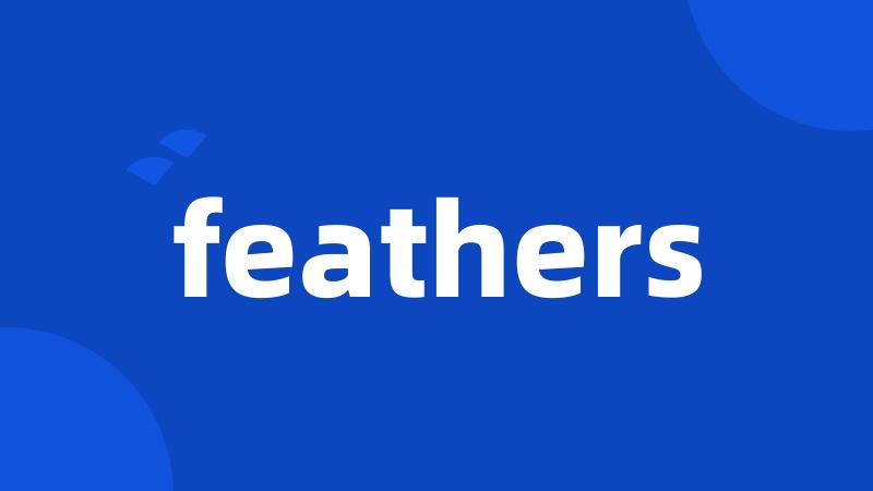 feathers