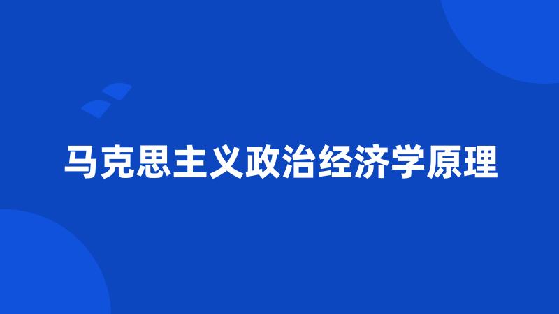 马克思主义政治经济学原理