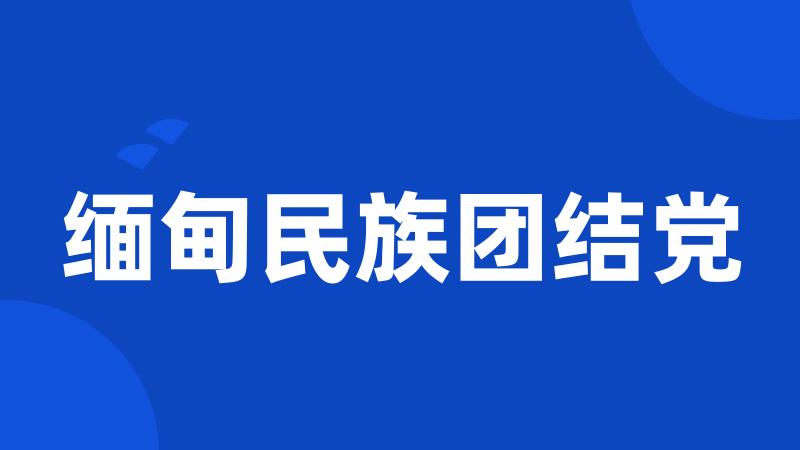 缅甸民族团结党