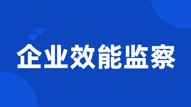 企业效能监察