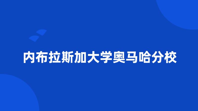 内布拉斯加大学奥马哈分校