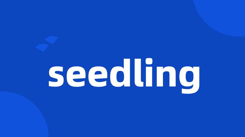 seedling