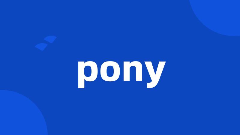 pony