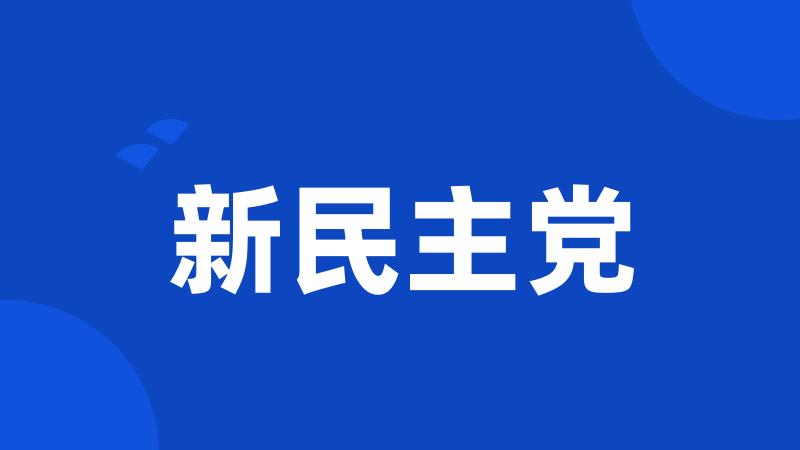 新民主党