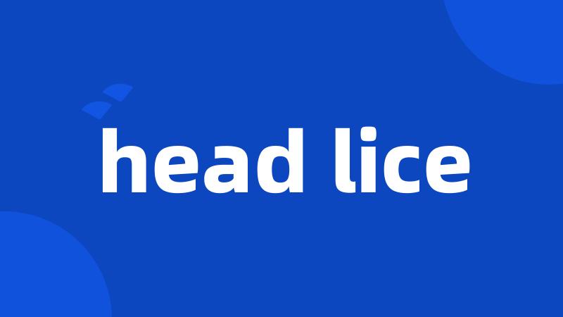 head lice