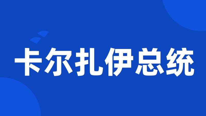 卡尔扎伊总统